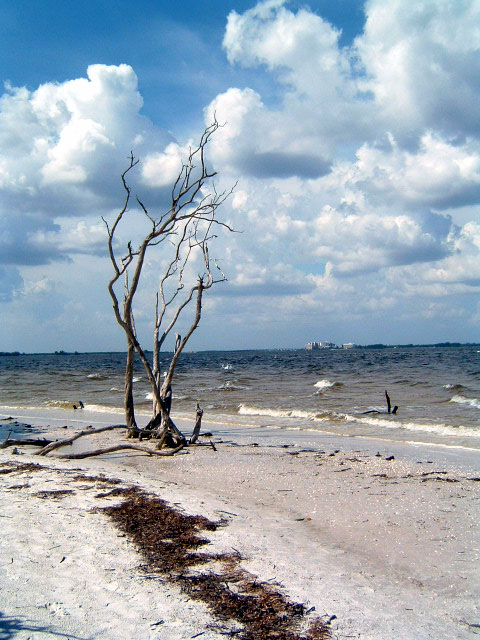 Sanibel