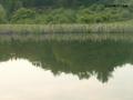 Andy's pond.jpg