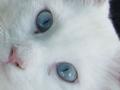 s face.jpg