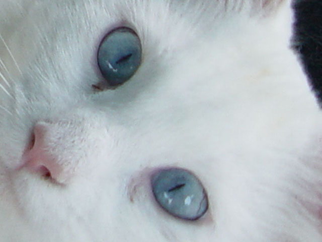 s face.jpg