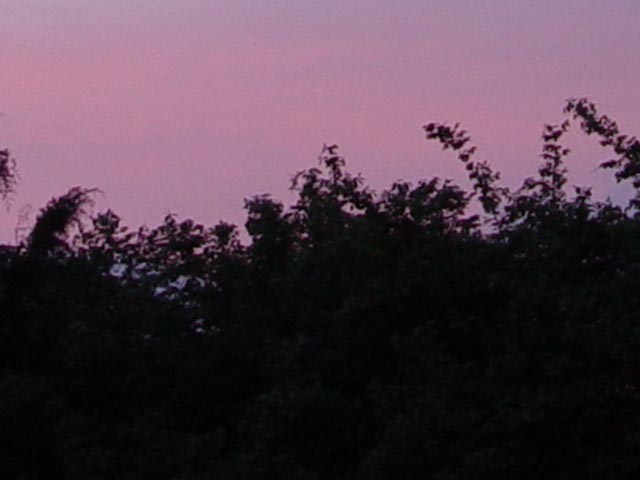 Sunset copy.jpg