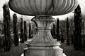Fountain Flow