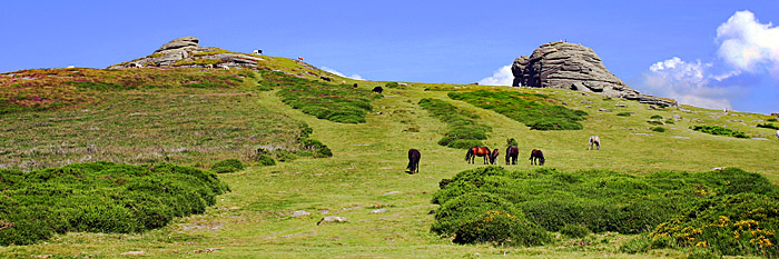 Dartmoor National Park