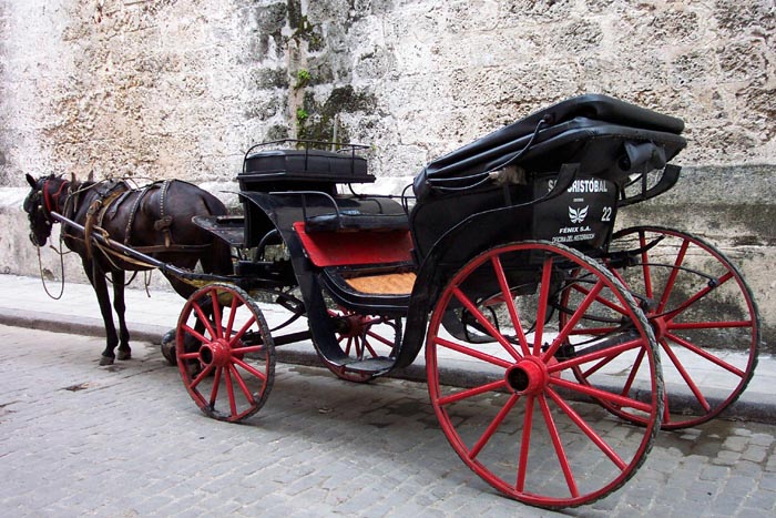 carriage2.jpg