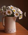 daisy vase