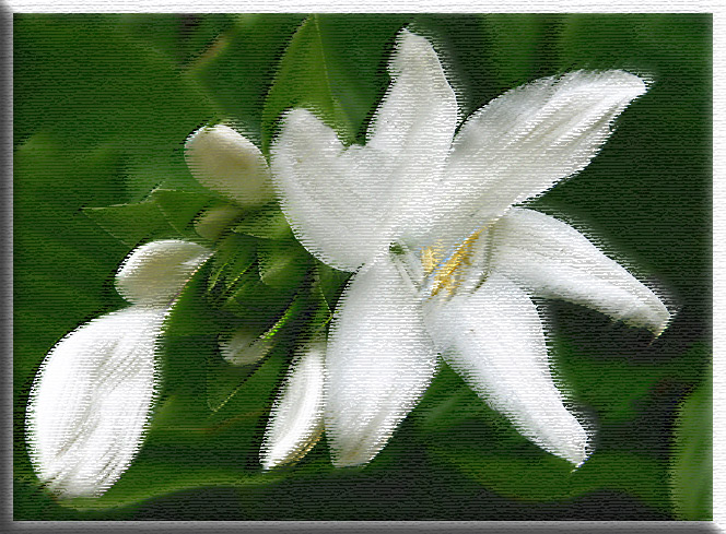 IMG_7545Hasta-Painting.jpg