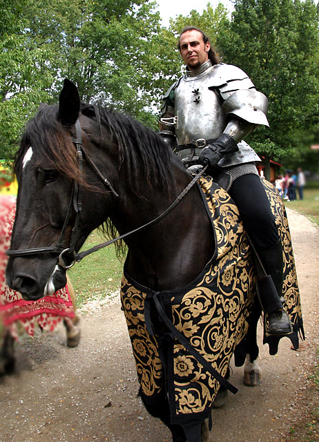 IMG_9023knight.jpg