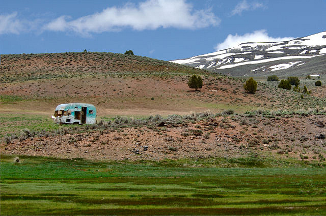 Where the Buffalo Roam