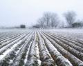 Inversion #1
