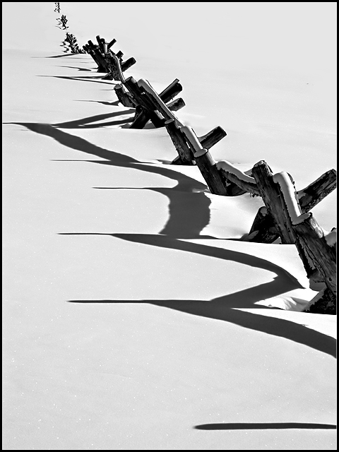 Fence and Snow
