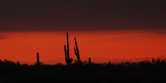 Another Desert Sunset