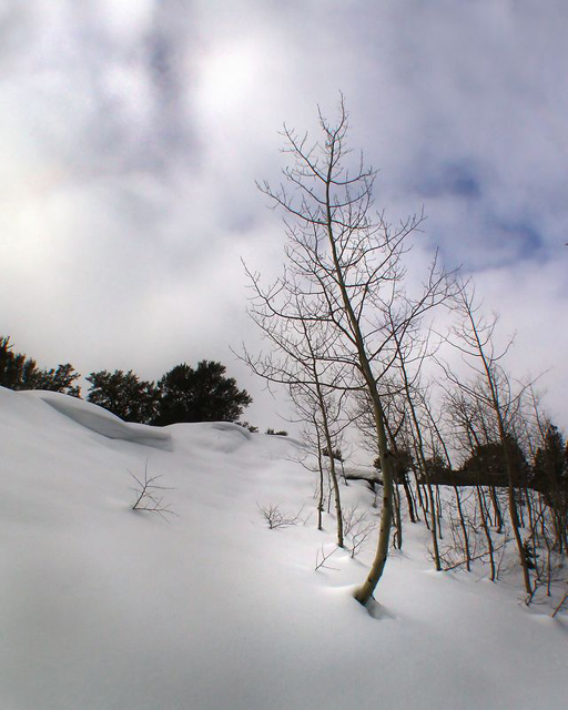 Aspen Dance