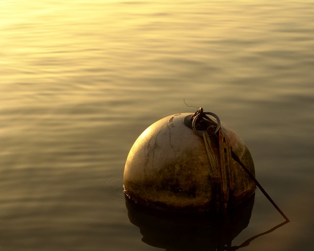 A Good Ol' Buoy