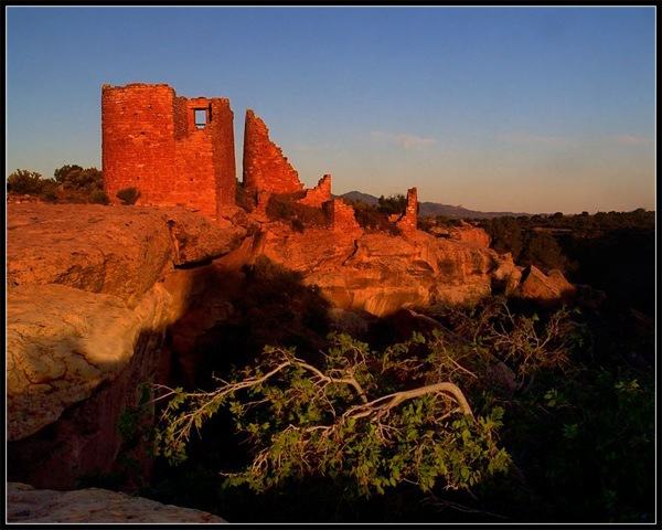 Hovenweep with Trees