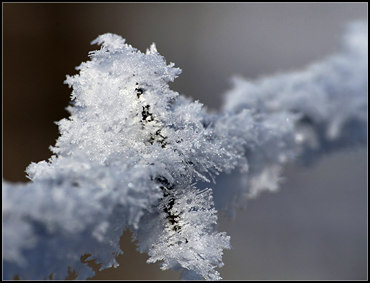 Barbed Ice