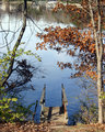 Dock