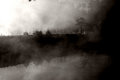Foggy Lake I