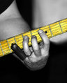 Frets