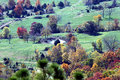 Mountain View II