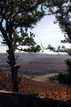 Mountain View III