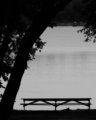 Picnic Silhouette