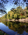 River Reflections
