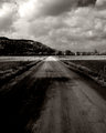 Road To Short Mountain