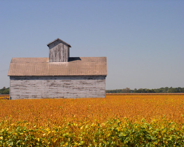 Barn