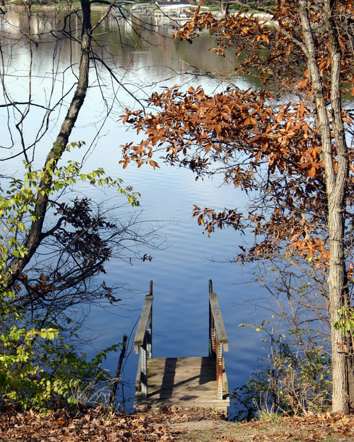Dock