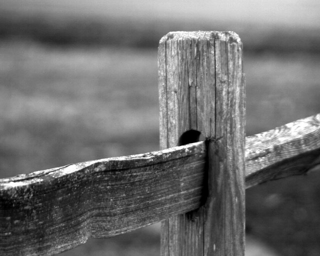 Fencepost