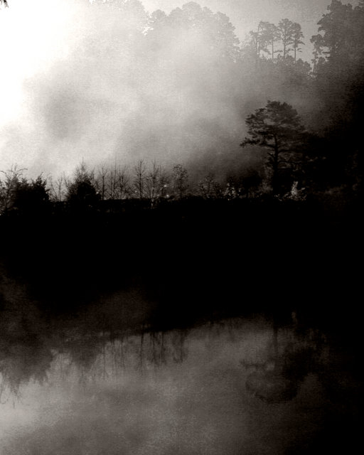 Foggy Lake II