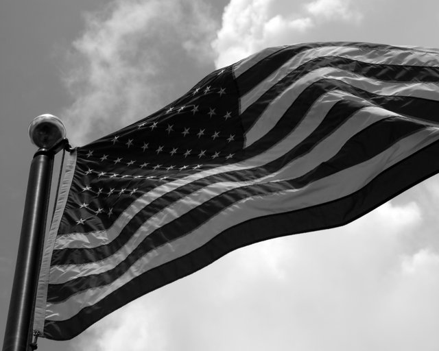 Freedom