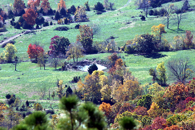 Mountain View II