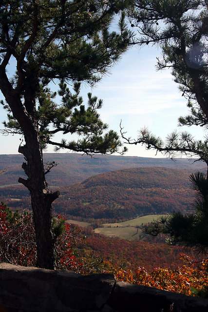 Mountain View III