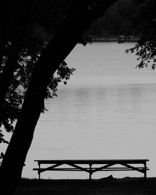 Picnic Silhouette