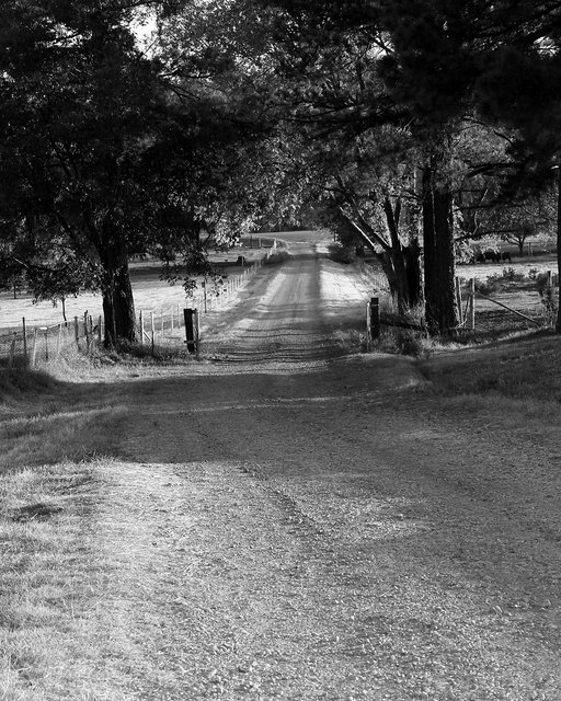 Road To...