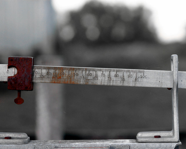 Scale