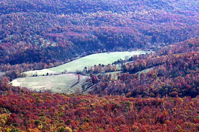 Mountain View I