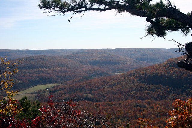 Mountain View IV