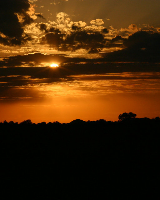 Sunset On The Farm III