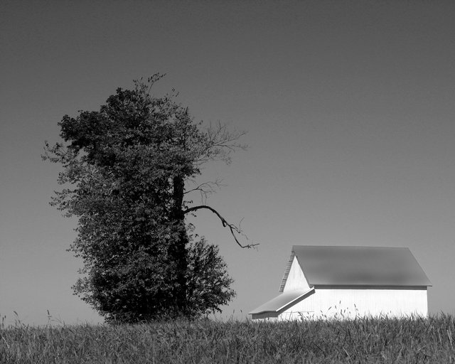 White Barn