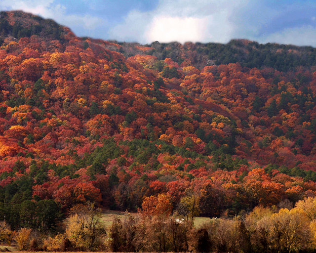Fall On Short Mountain I