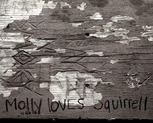 Molly Loves Squirrell