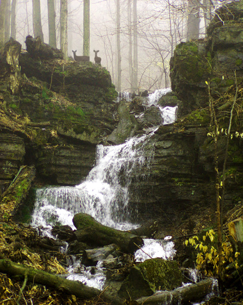Deer Falls