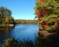 Bright Fall Colrs II