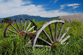 Wagon_Wheels ll