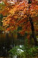 Pond - Candia, NH
