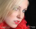 Shannon_3565