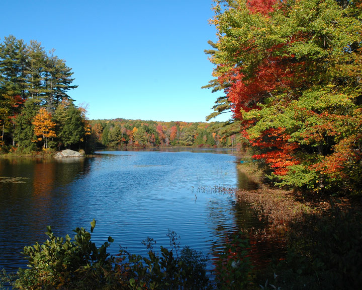 Bright Fall Colrs II