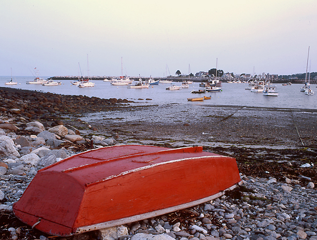 The Dingy